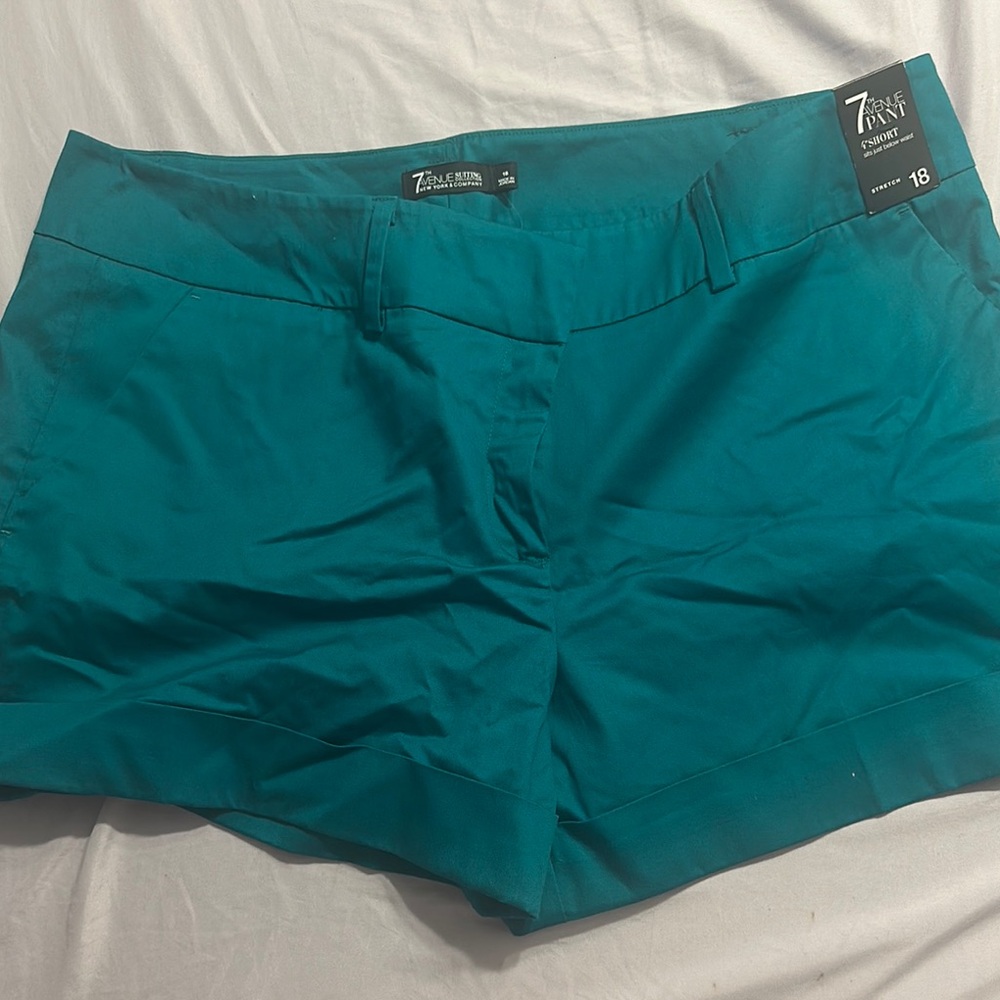 Avenue Women's Teal Shorts